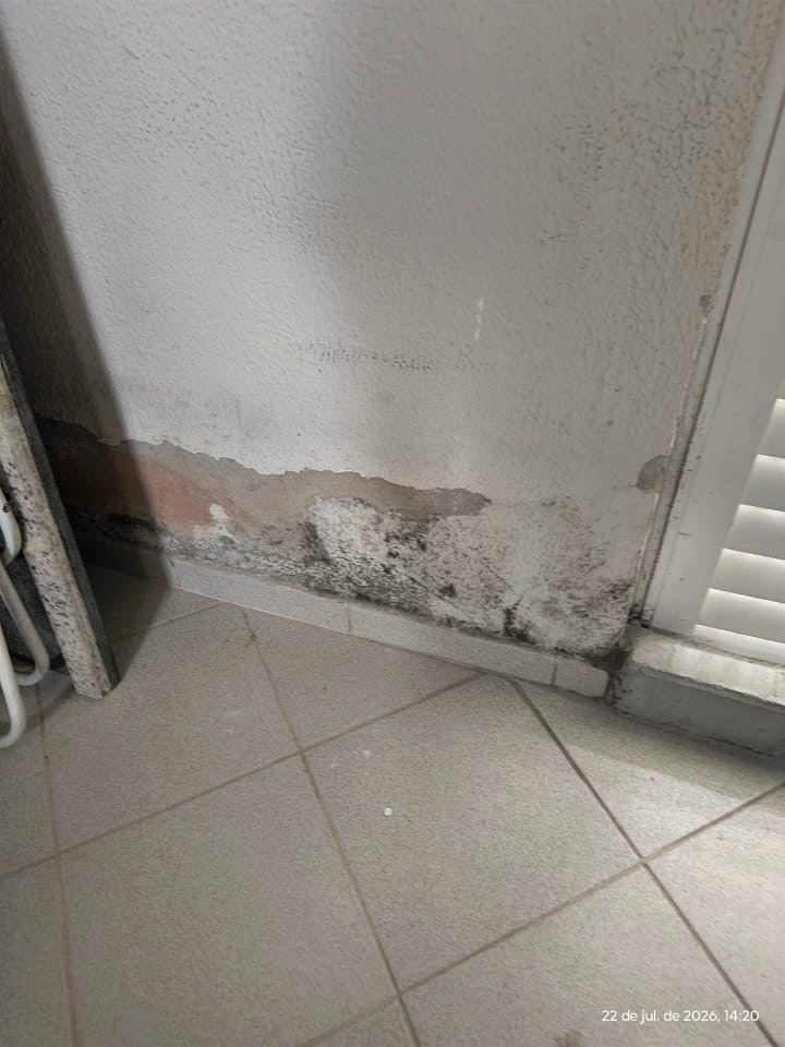 Base de parede interna com reboco desagregado, eflorescência e manchas escuras junto ao piso.